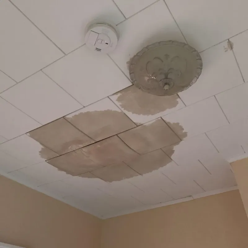 Ceiling Water Damage Repair in Dickens, TX
