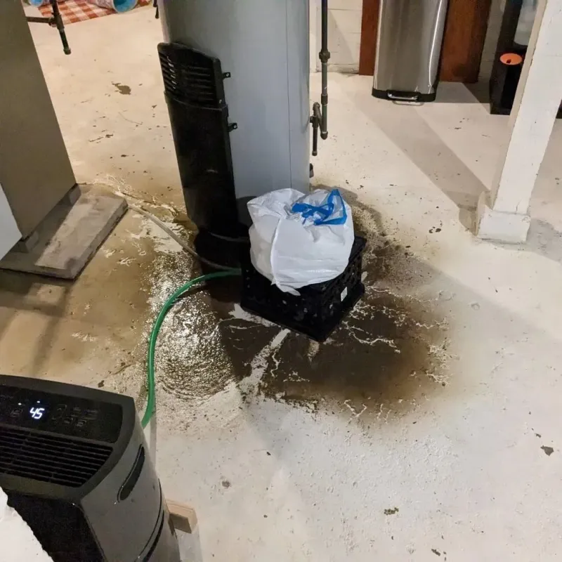 Sewage Backup Cleanup Service in Dickens, TX